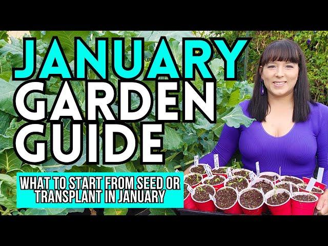 January Garden Guide: What To Start From Seed Or Plant NOW #garden #gardeningtips #vegetablegarden