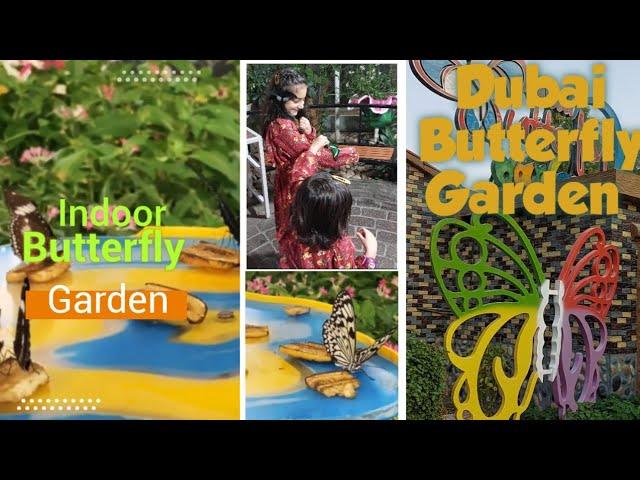 Dubai Butterfly Garden VLOG - World's Largest Butterfly Garden