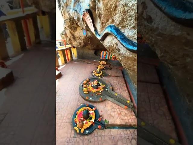 Gangeshwar Mahadev Temple, Diu  #mahadev #shorts #lordshiva #youtubeshorts #unique #borntotravel