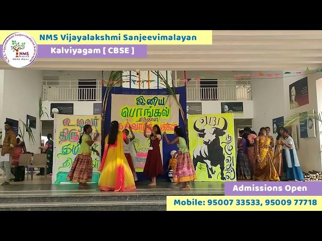 Pongal Celebration at NMS VSK