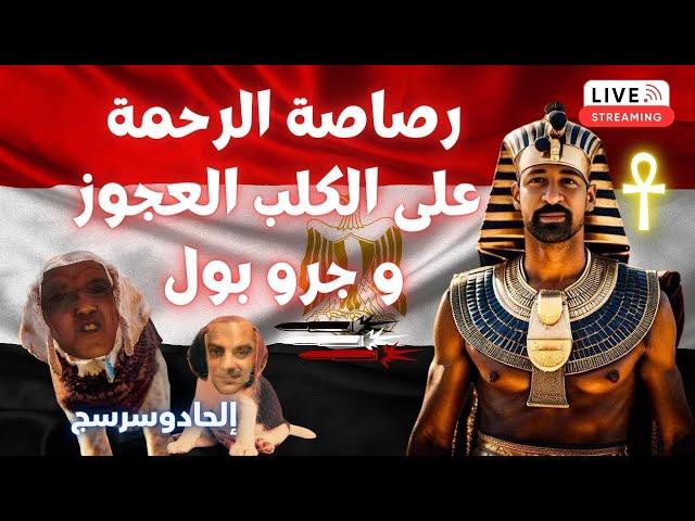 هشام المصري يطلق رصاصة الرحمة على الكلب العجوز وصديقه جرو بول القصة الحقيقية للإلحادوسرسج