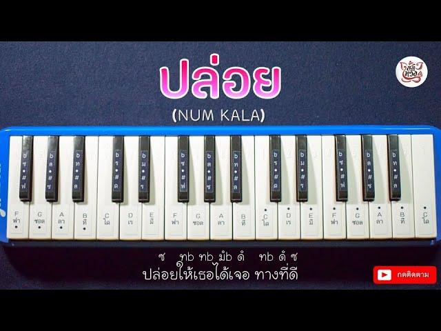 โน้ตเพลงปล่อย - หนุ่ม กะลา Cover เมโลเดียน By Somwang