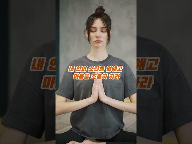 마음의 안식처
