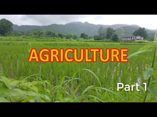 Agriculture Class 10 CBSE Geography (part 1)