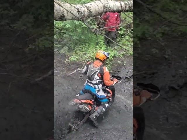 ENDURO REX