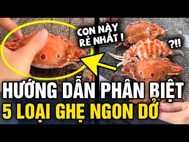 Người phụ nữ hướng dẫn PHÂN BIỆT GHẸ NGON khiến nhiều người VỠ LẼ | Tin 3 Phút