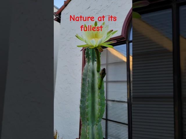 California Nature. #california