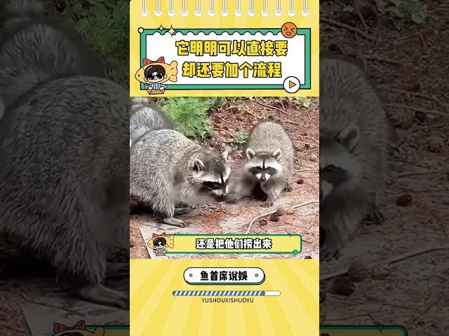 看到這一幕的大哥人直接傻眼了 #小浣熊 #離譜  #搞笑 #心機