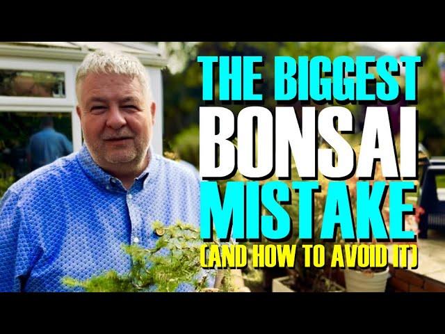 The BIGGEST Bonsai Mistake (And How To Avoid It)