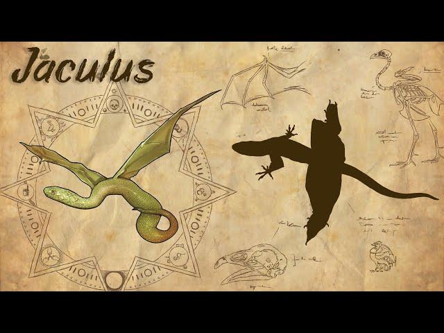 Jaculus - Slithering Serpents Soar then Gore | Monsters Dissected Season 2