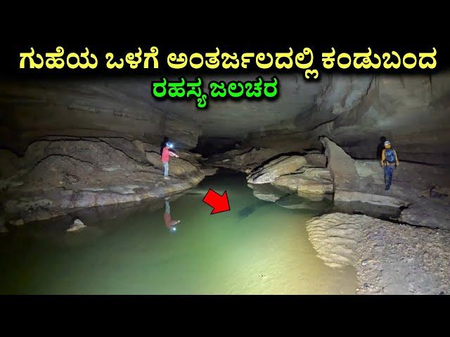 Most interesting and amazing facts Kannada