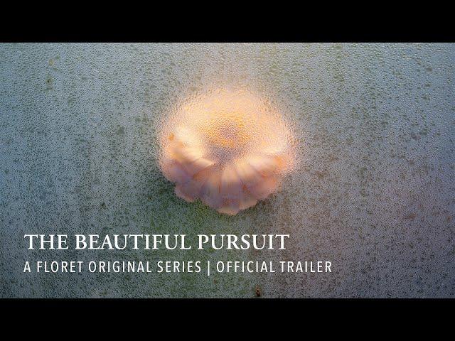 The Beautiful Pursuit | What it Takes to be a Flower Farmer