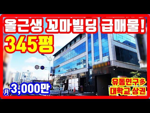 月3000만 꼬마빌딩 급매물 대지면적 345평 대학교 상권