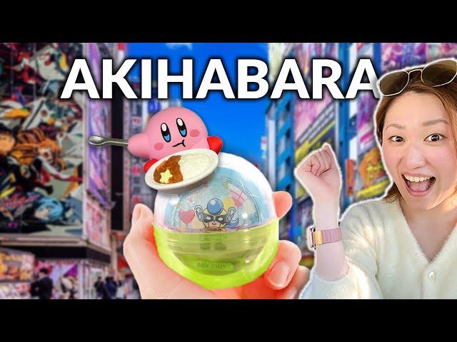 Akihabara's BEST Kept Secrets Revealed!