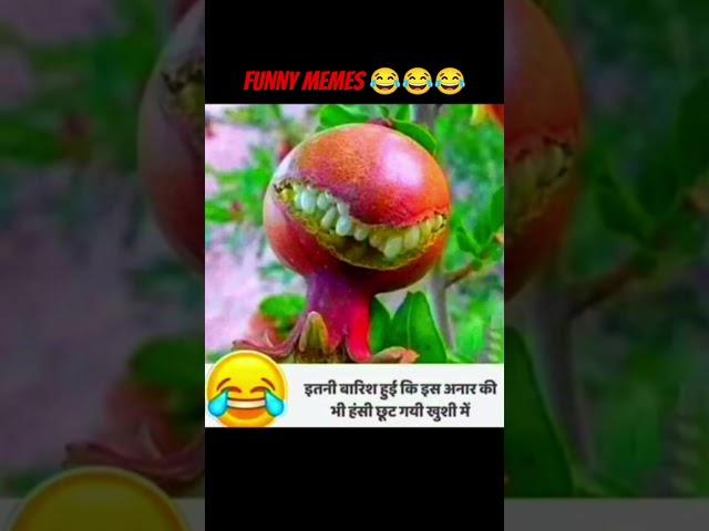 #funnymemes #ytb #comedy #funnyreel #meme #comedyshorts 