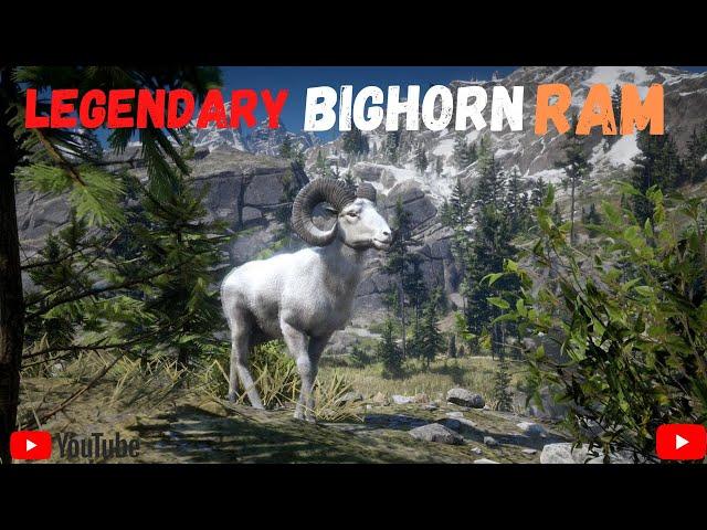 How to kill legendary long Bighorn Ram.....