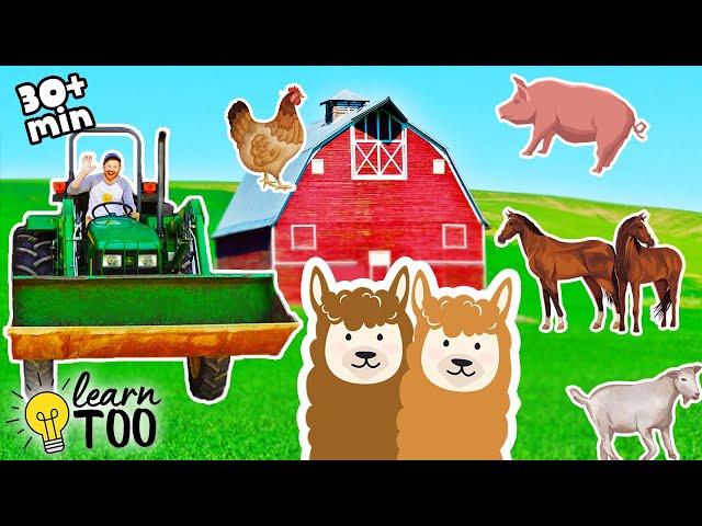 Explore on the Farm!  Farm Animals for Kids | Farm Adventures for Toddlers | Tractors and Horses