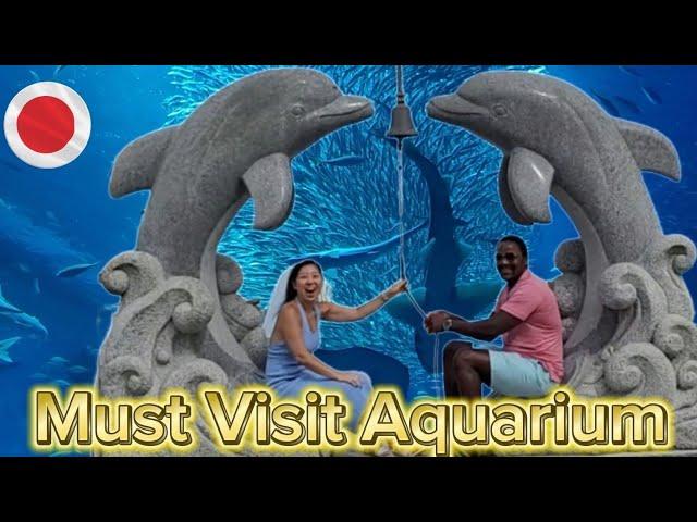 Aqua World Ibaraki Oarai Aquarium 2024!! Must Visit!! #aquarium #viralvideo #travel #Japan.