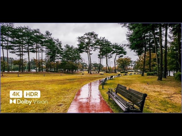 [4K HDR] 가을비 내리는 동탄 센트럴파크와 타임테라스 걷기  Walking Tour | 산책사진가