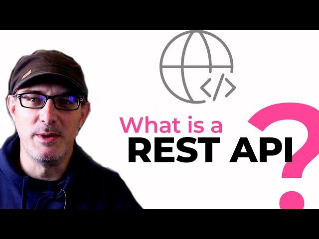 What is a REST API?