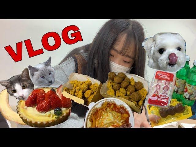 [시험기간VLOG]시험기간에 나만 노는거 아니잖아?   (반려동물학과 시험기간)/서울호서전문학교 애완동물전공