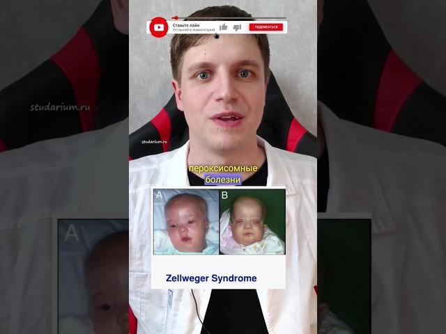 ПЕРОКСИСОМНЫЕ  болезни ‍️ #биологияегэ #егэбио #егэбиология #егэ2024 #егэ #анатомия #цитология