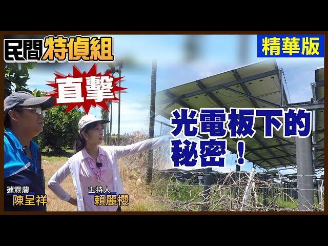 【民間特偵組 95-2】直擊光電板下的秘密！蠶食鯨吞蓮霧園 成蛇鼠的吃到飽餐廳！(CC字幕)