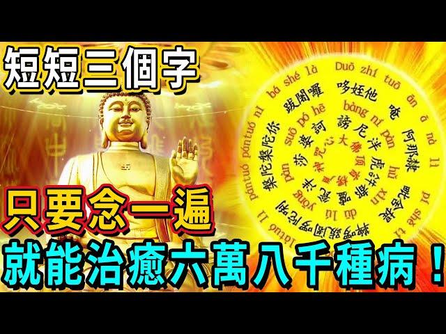 短短3個字，竟是佛菩薩最神奇的「一味藥」，只念一遍，就能治癒六萬八千種病！丨佛談大小事