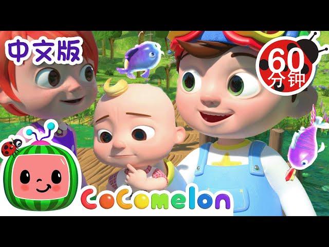 12345我钓到一条小鱼 | 大合集 | 經典熱門兒歌 | Kids Song | 動畫 | 童謠 | 儿童学习 | 卡通片 | CoComelon 中文 | Nursery Rhymes