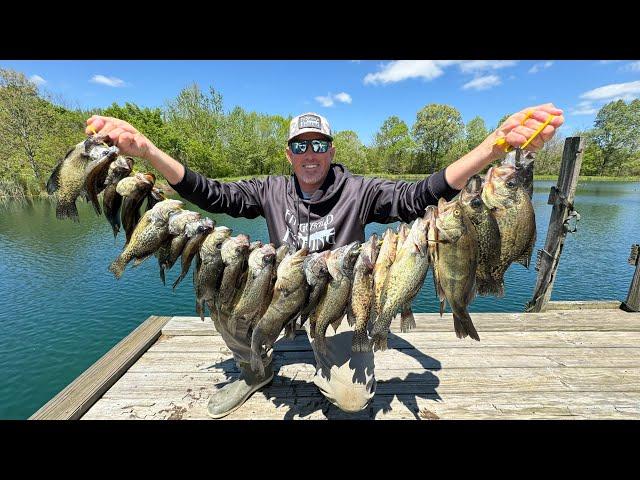 2,000 Fish out of 1 Lake (Crappie and Bass Catch Clean Cook)