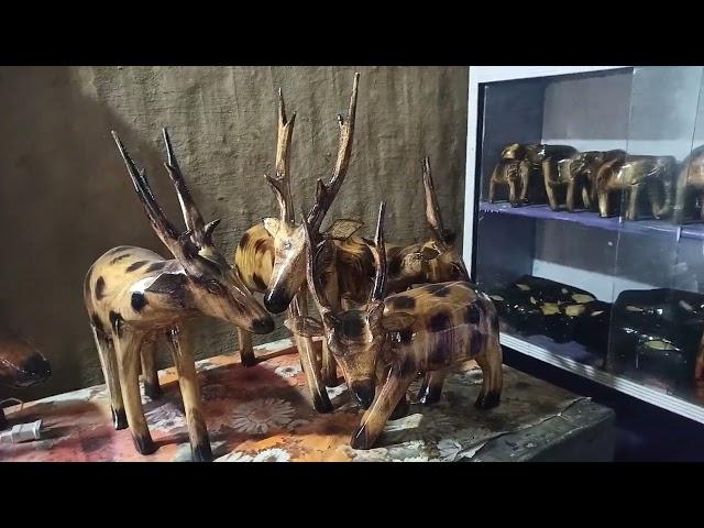 Wood Animals shantipur kakrajan karbialong Assam video 1