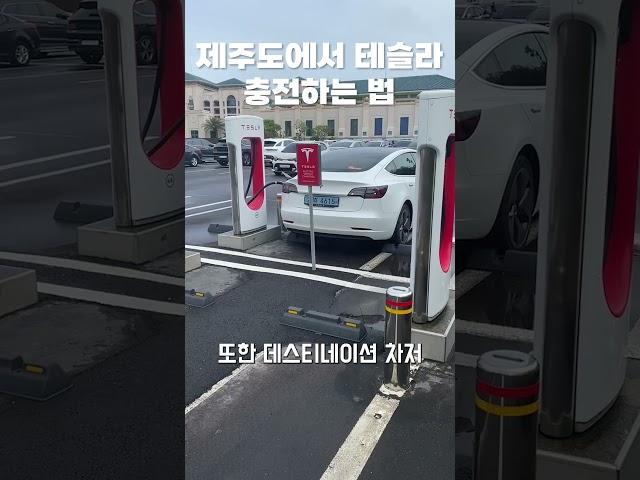 테슬라 제주도에서 충전하는 방법 | 제주도 슈퍼차저, 제주도 충전소