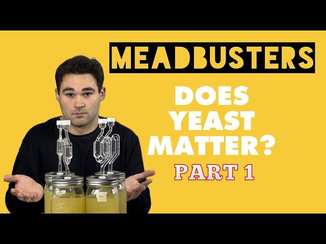 MEADBUSTERS: DOES YEAST TYPE MATTER? (PART 1)