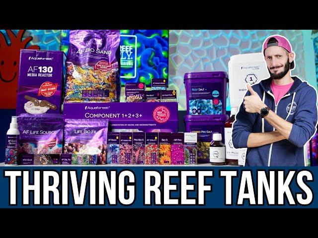 Transform Your Tank With Aquaforest!