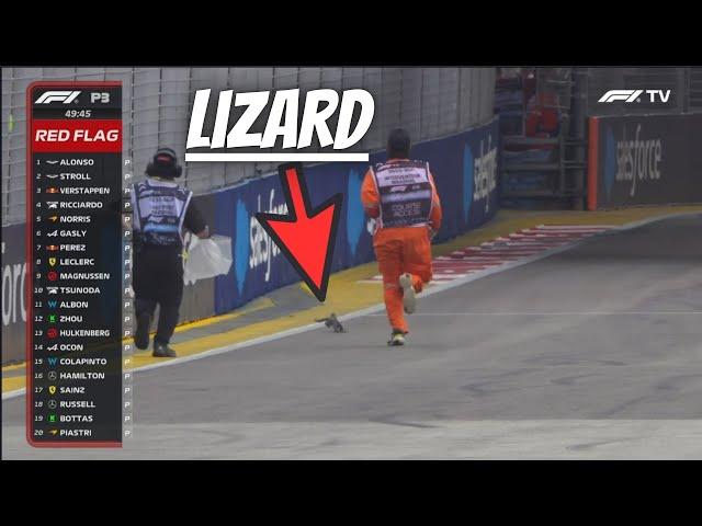 Lizard VS F1 Marshall - F1 Singapore GP 2024 FP3