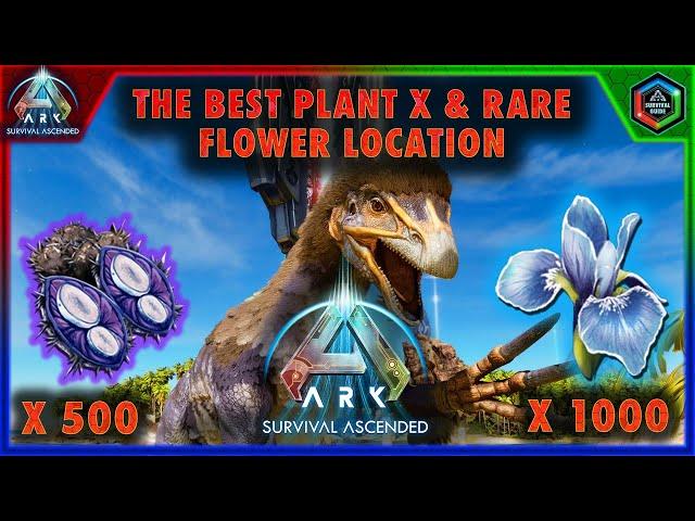 The Best Plant X Seed and Rare Flower Location in Ark Survival Ascended The Island Map