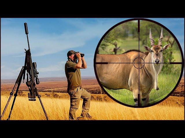 Ultimate Free Range African Hunt