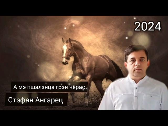 Стэфан Ангарец - А мэ пшалэнца грэн чёрас 2024 New