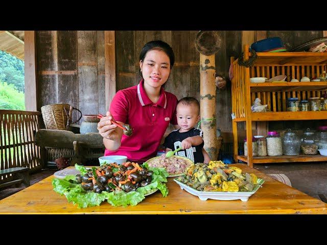 Harvesting Snails and Turmeric to sell at the market - Cooking delicious Banana Snail and Bean dish.