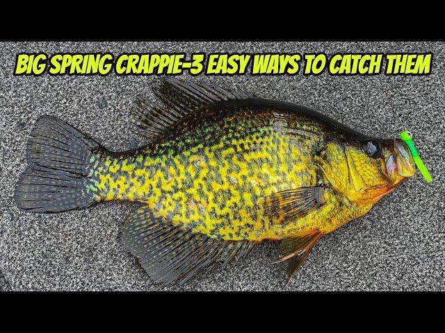 3 EASY WAYS FOR BIGGER SPRING CRAPPIE- How you can do it too!