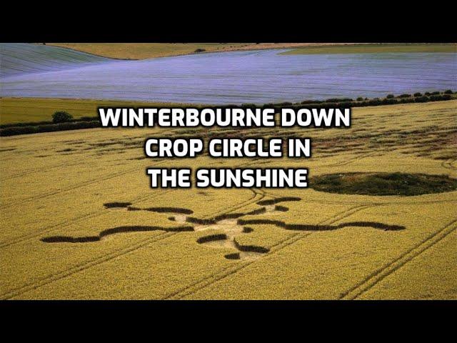 Winterbourne Stoke Down Crop Circle Sunny Flight