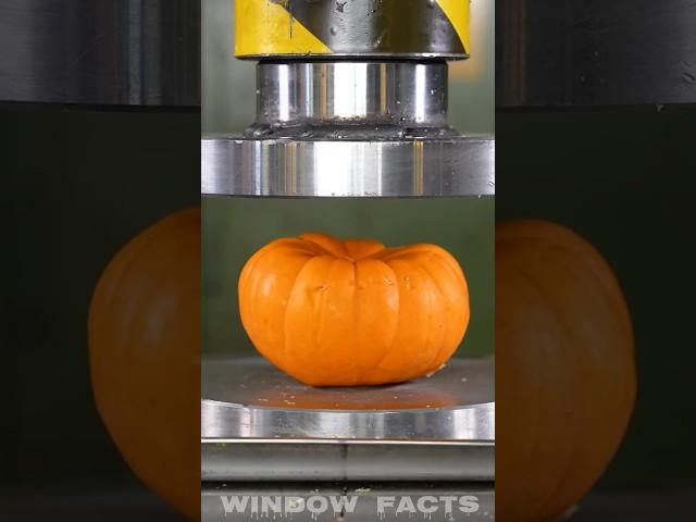 Pumpkin  Hydraulic Press #experiment #asmr #gadegets #facts #shorts