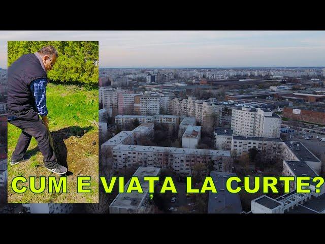 CUM E VIATA LA CURTE?