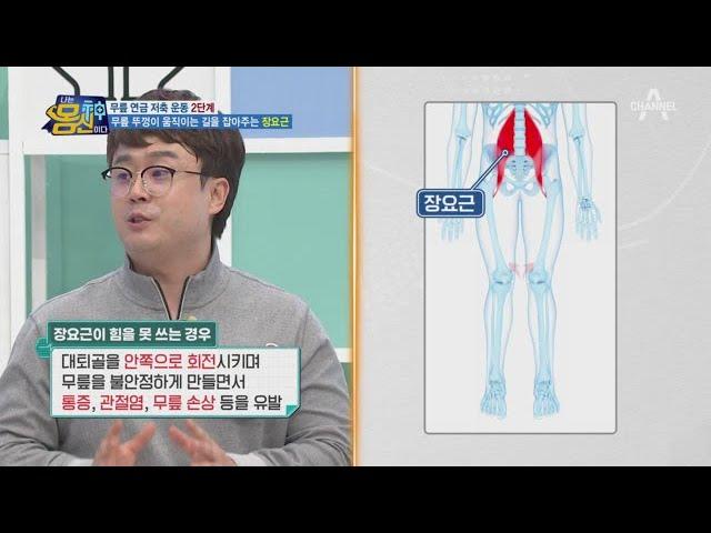 무릎이 버티지 못하면 '장요근'이 약해져있는 상태다?! 장요근 강화 운동은?! | 나는 몸신이다 364 회