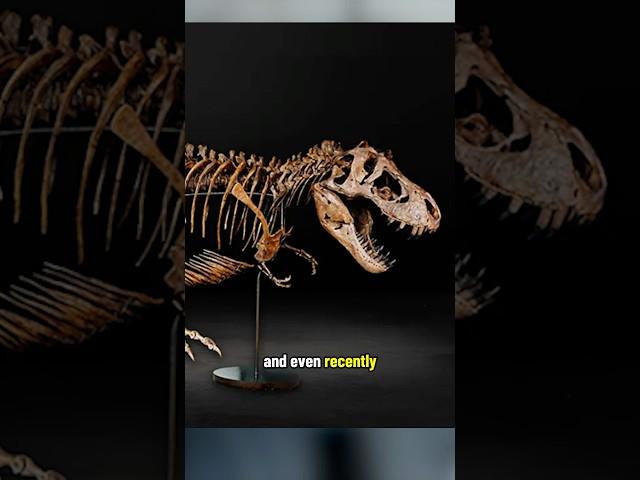 Determining if a Dinosaur is Male or Female