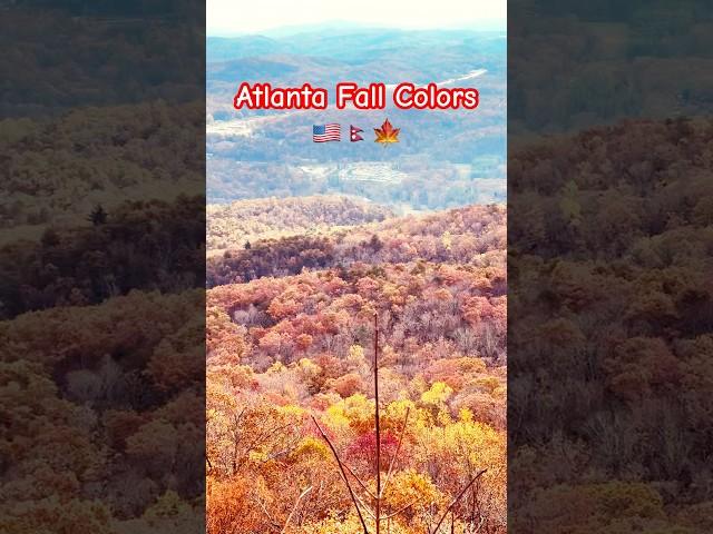 At fall colors #trending #ytfeed #ytshorts #fallcolors #viral