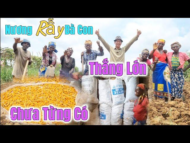 Huy Khánh Vlogs || Thành Quả Thu Hoạch Ở Nương Rẫy Của Bà Con - Bất Ngờ Chưa Từng Có - Thắng Lớn ???