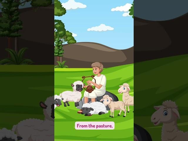 David|Bible Stories and Songs For Kids