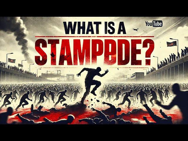 What is Stampede | Heartbreaking Stampedes: Lessons from History #trending #youtube #viralvideo