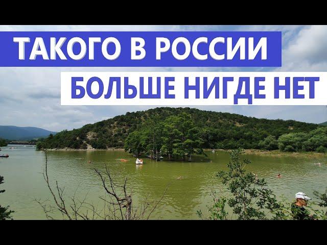 Анапа. Сукко. МЕСТО КОТОРОЕ СТОИТ ПОСЕТИТЬ!КИПАРИСЫ. ОЗЕРО СУККО